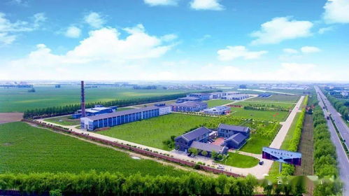 榆樹錢揭牌成立中國北方白酒新技術與新產品聯合研發中心，引領技術開發新篇章
